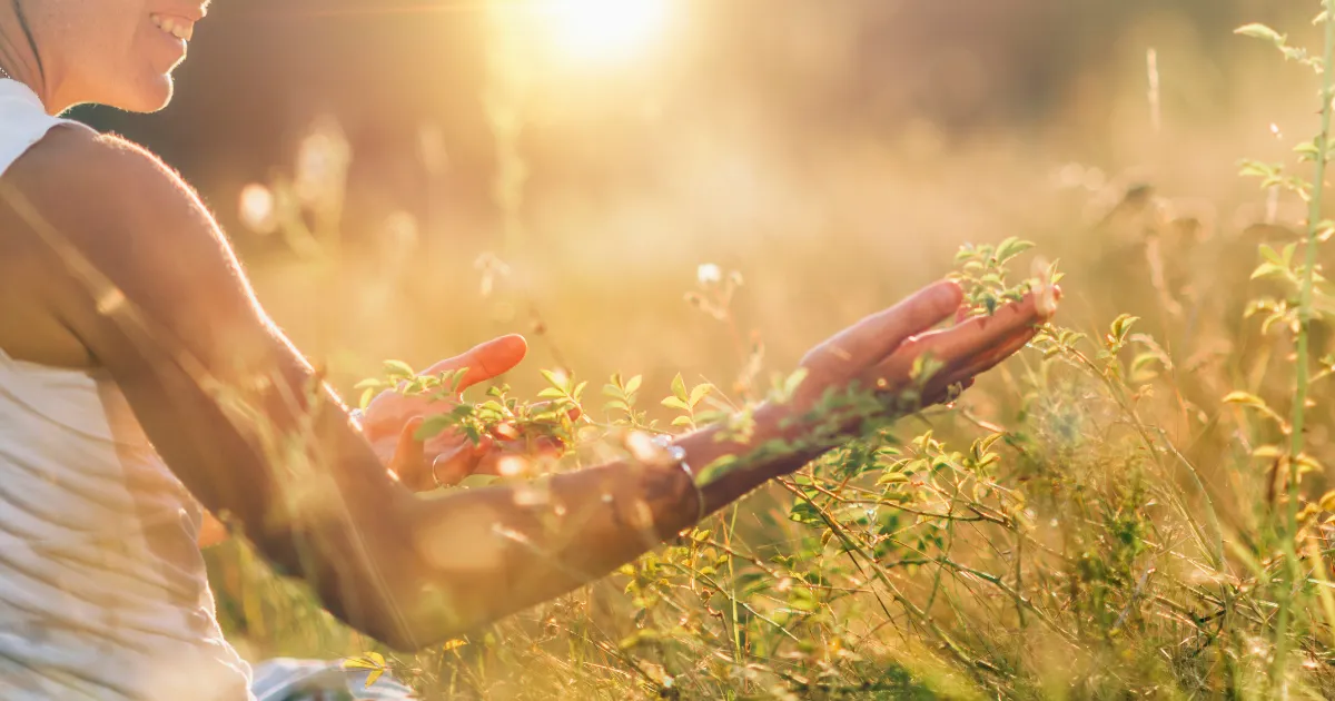 Čuječnost (angl. Mindfulness) je …