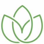 lotus2