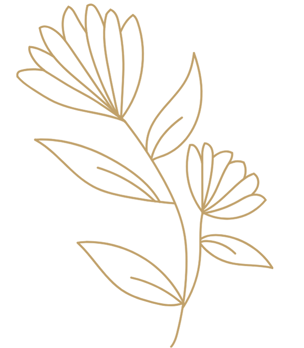 website photos (600 x 800 px) (3)