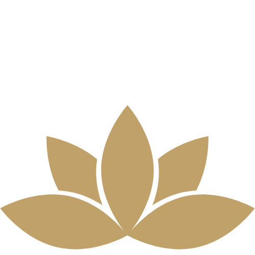 website2