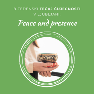 Peace and presence - 8-tedenski tečaj čujecnosti